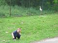 Zoo 24